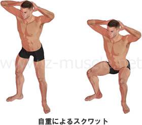 http://www.z-muscle.net/method/squat/squat006.html