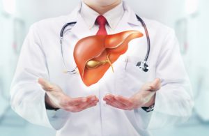 肝臓機能と内臓機能の低下を助ける医師