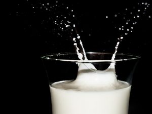 milk-1760353_640 (1)