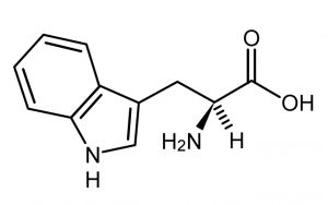 amino1